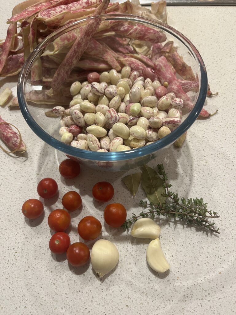 A glass bowl containing shelled frsh borlotti beans. The discarded pods are behind. In front is garlic, cherry tomatoes, two bay leaves and three sprigs of thyme.