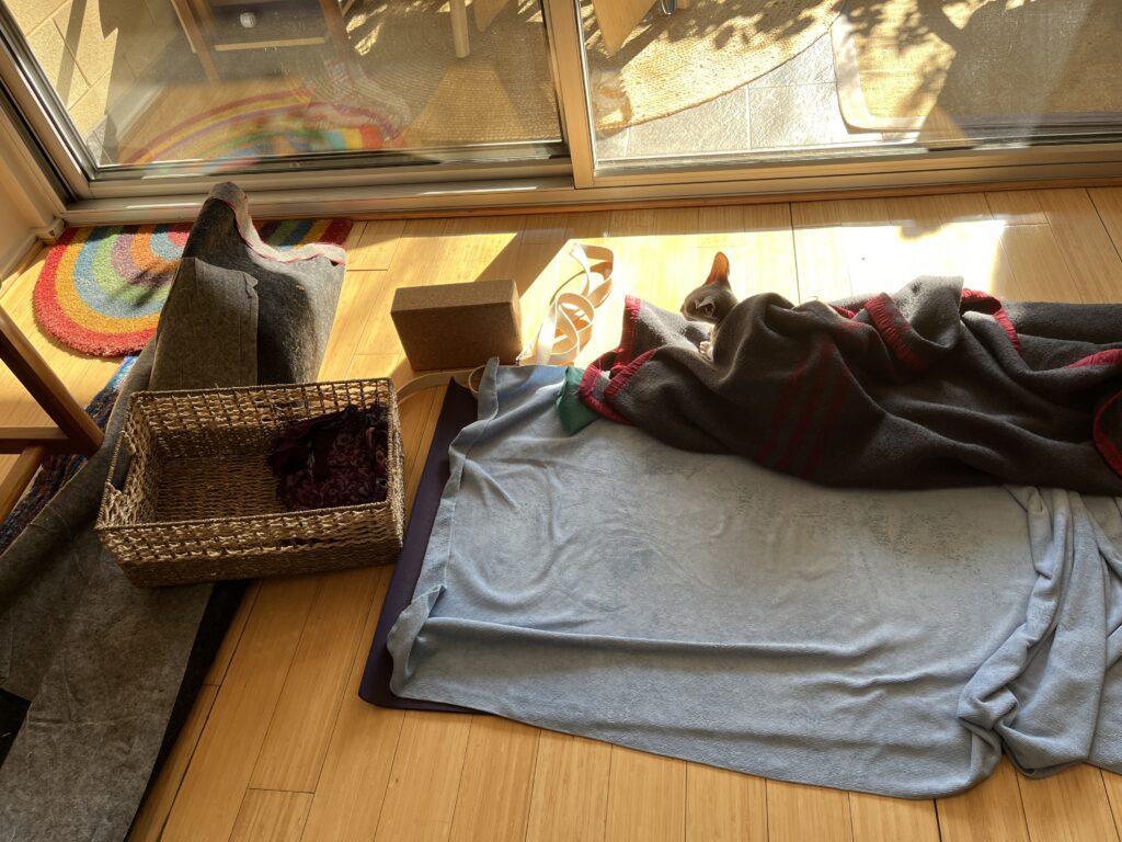 Yoga equipment on a wooden floor in the sunshine. A small grey cat is wrapped in a blanket on top of it.